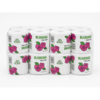 T/PAPER BLOSSOM 24'S