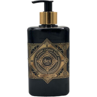 DEX H/SOAP 12X500ML OUD